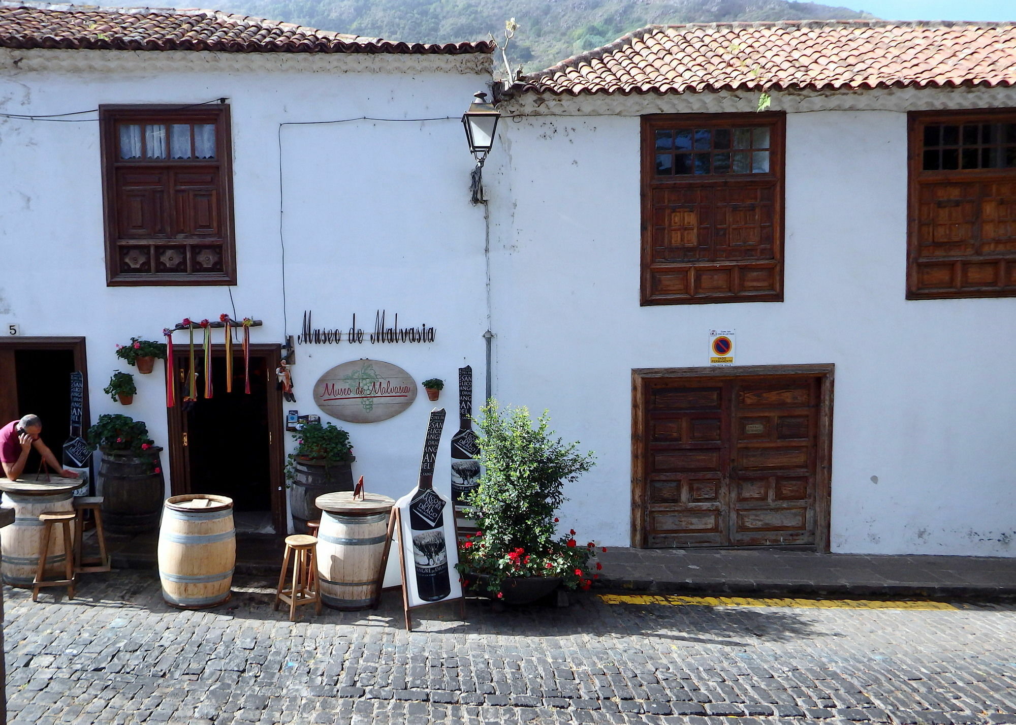 Finquita La Villa Icod De Los Vinos Esterno foto