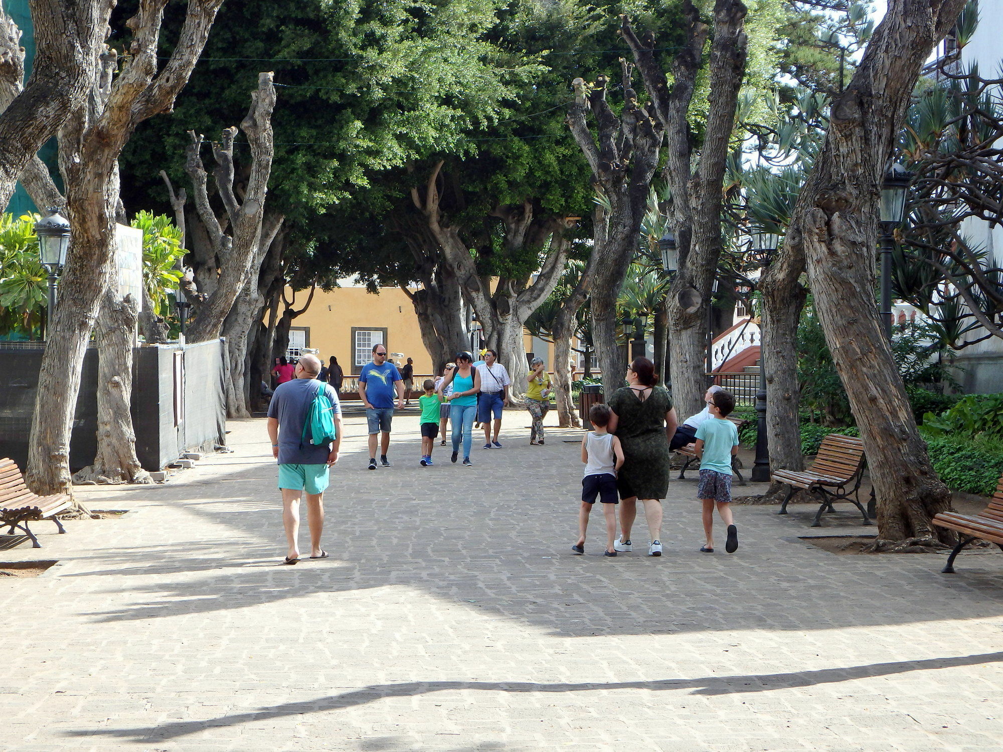 Finquita La Villa Icod De Los Vinos Esterno foto